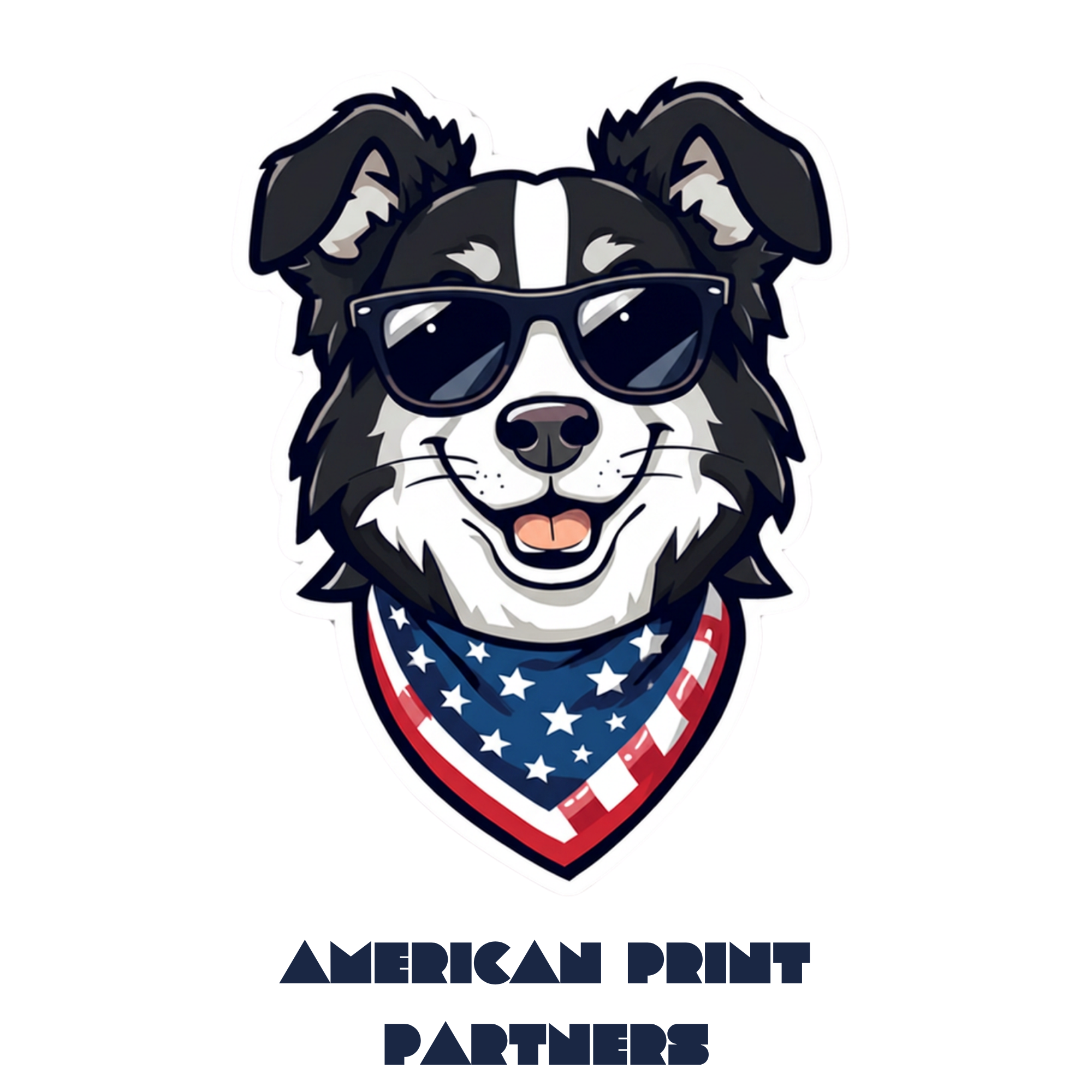 American Print Partners
